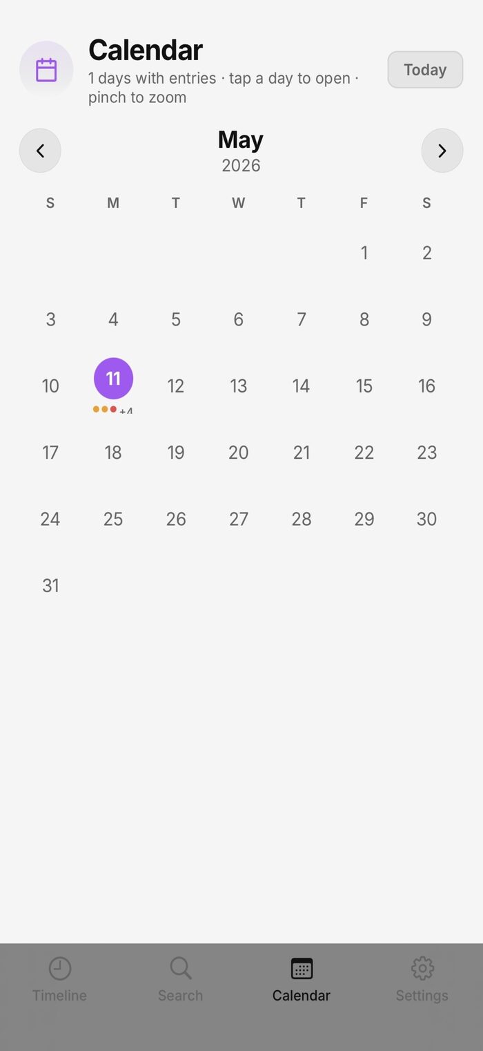 Receipts calendar view showing entries by day